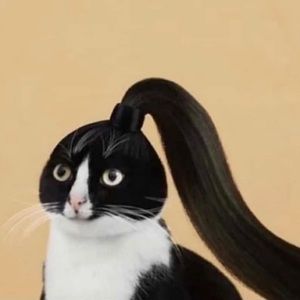 Meet your Posher, Lol